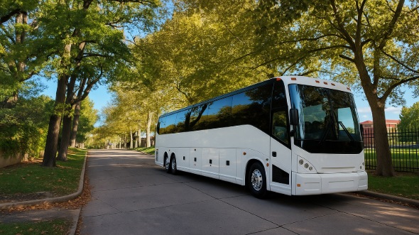 vestavia hills bachelor and bachelorette party bus rentals